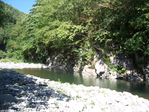  Image name: Fiume26.jpg 
 width: 601 pixel 
 height: 452 pixel 
 Size: 327373 bytes 
 Click to enlarge 